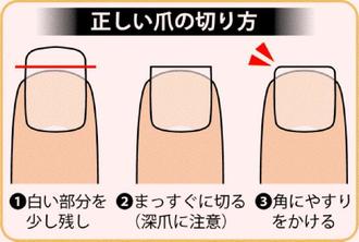 爪は スクエアカット が正しいそうです 舘祐司の気ままなブログ