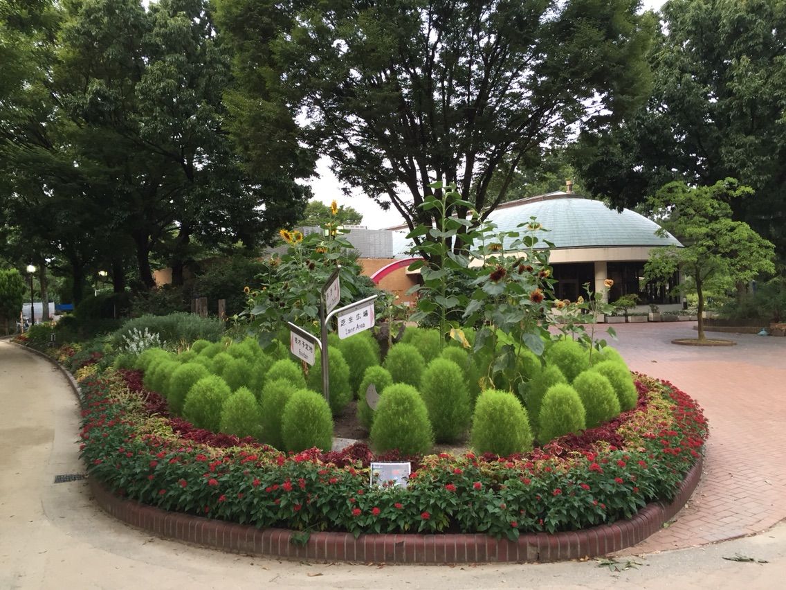 ウォーキングイン名城公園 舘祐司の気ままなブログ ウォーキングイン名城公園 舘祐司の気ままなブログ