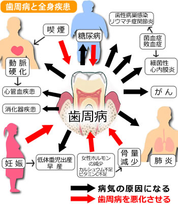 shisyu_003
