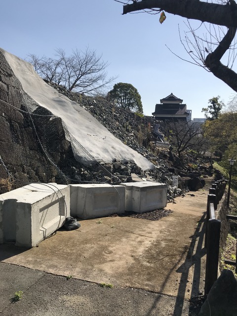 写真 2019-11-12 13 22 52