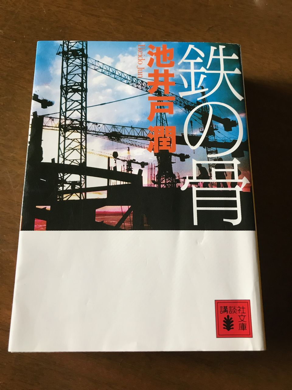 鉄の骨 池井戸潤著を読んで 舘祐司の気ままなブログ