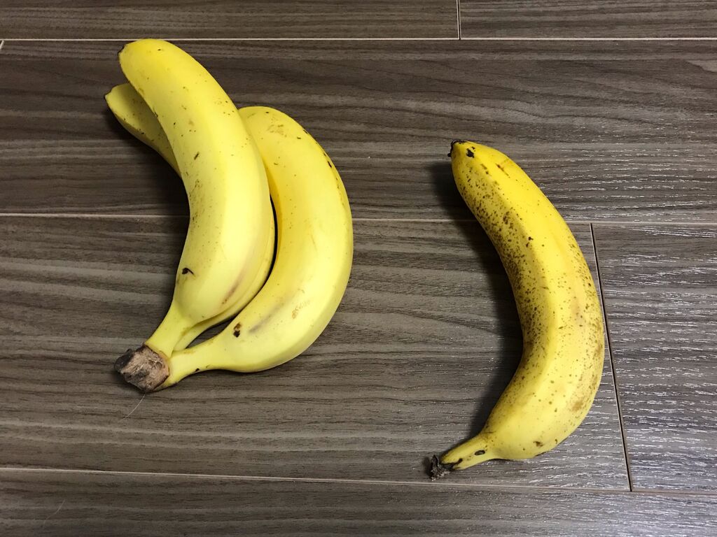 野菜の鮮度が長持ちする魔法の袋を試してみました 舘祐司の気ままなブログ