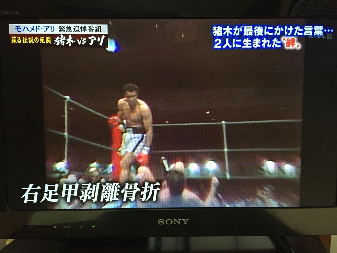 伝説の試合 アリ対猪木 戦にはいろんなドラマがあった 舘祐司の気ままなブログ 伝説の試合 アリ対猪木 戦にはいろんなドラマがあった 舘祐司の気ままなブログ