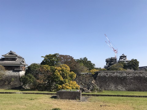 写真 2019-11-12 13 07 14