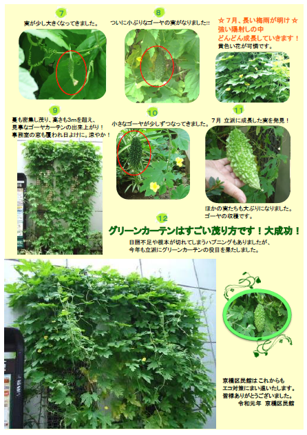 ゴーヤガーデン②