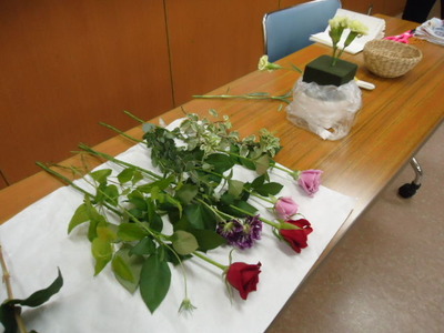 DSC03339