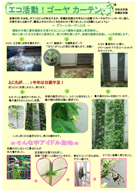 ゴーヤガーデン①