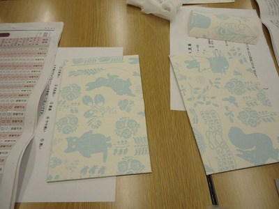 DSC02401 (2)