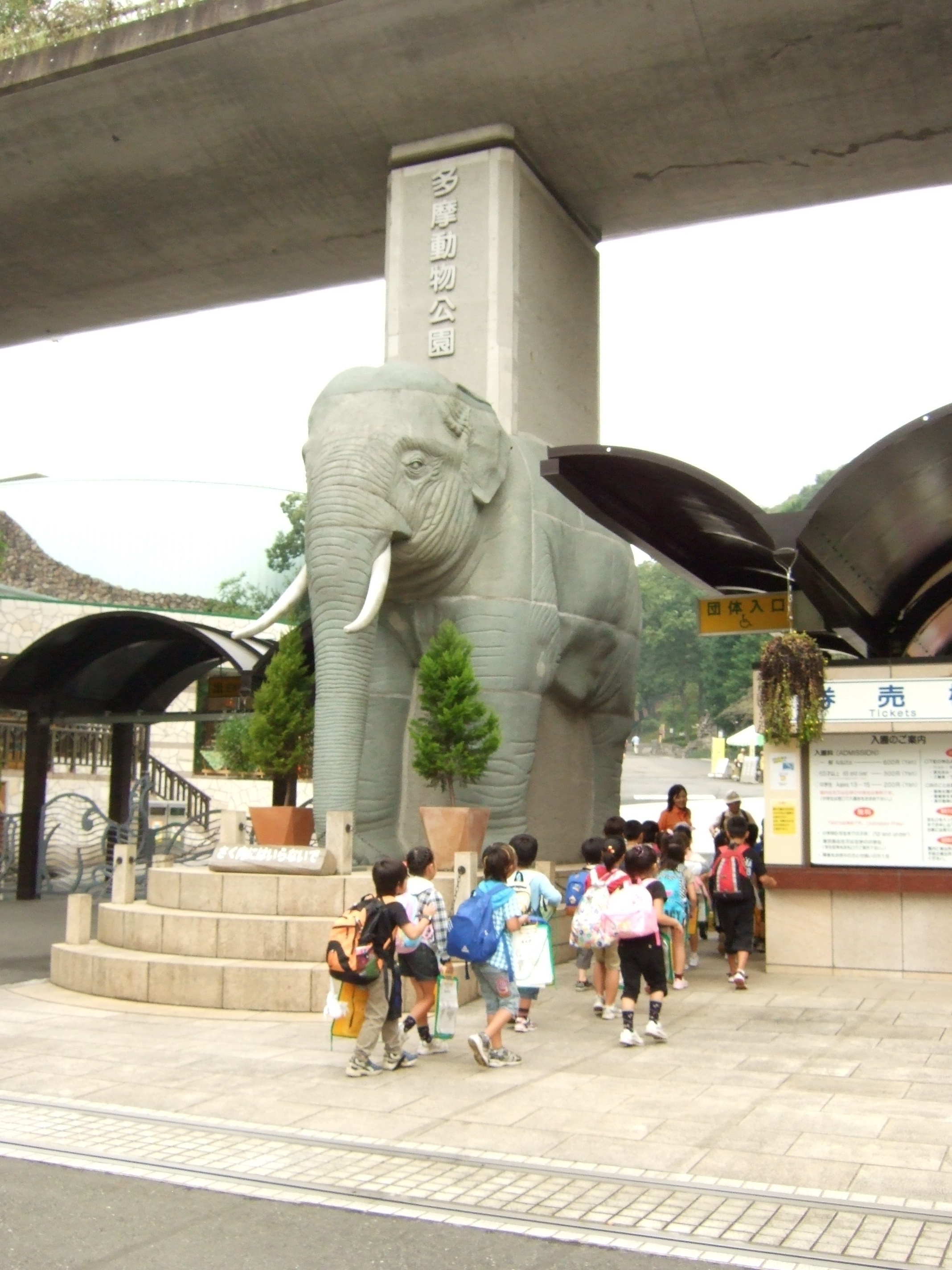 多摩動物公園校外研修 イベントリポート