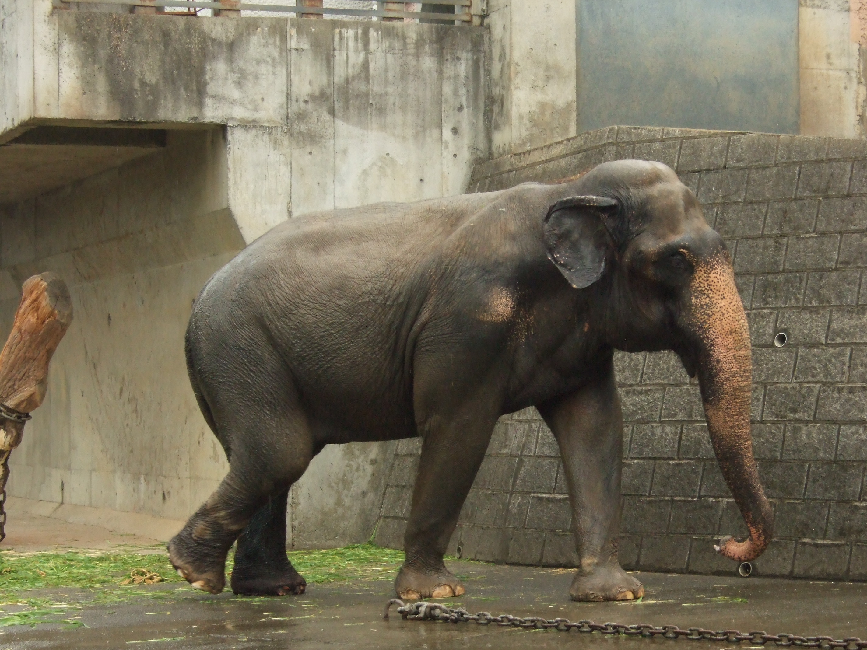 多摩動物公園校外研修 イベントリポート