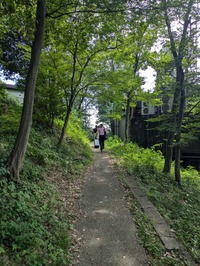 PXL_20240729_045350913