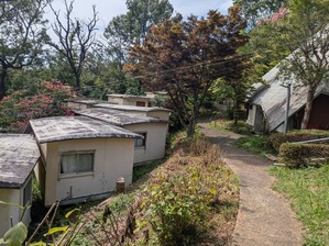 PXL_20240729_052739375