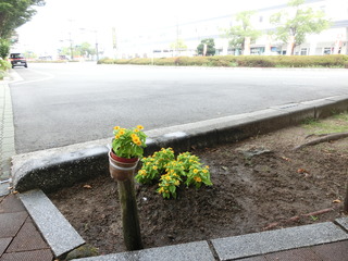 花壇