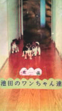 池ワン守護神 チュピ 昇天 アイワン 愛ワン グループ