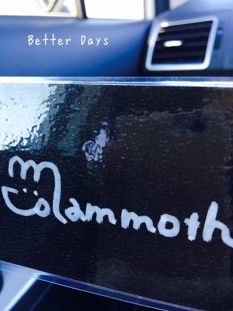 いちご狩り Better Days