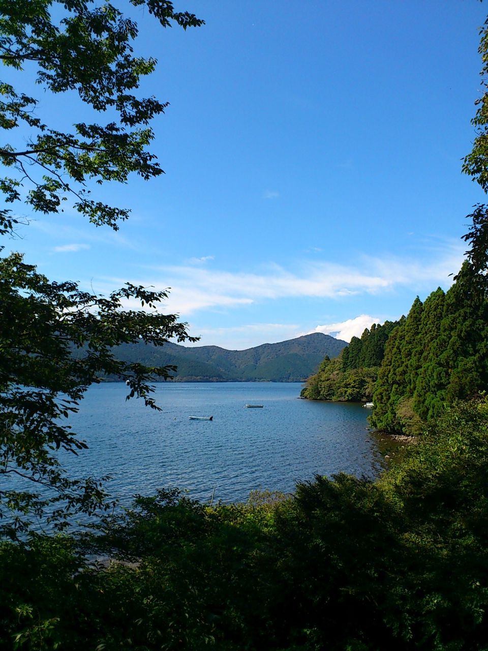 12秋 箱根に行ってきました 7 箱根関所 ランチ Better Days 12秋 箱根に行ってきました 7 箱根関所 ランチ Better Days