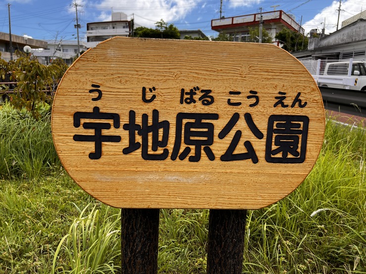 image (4)