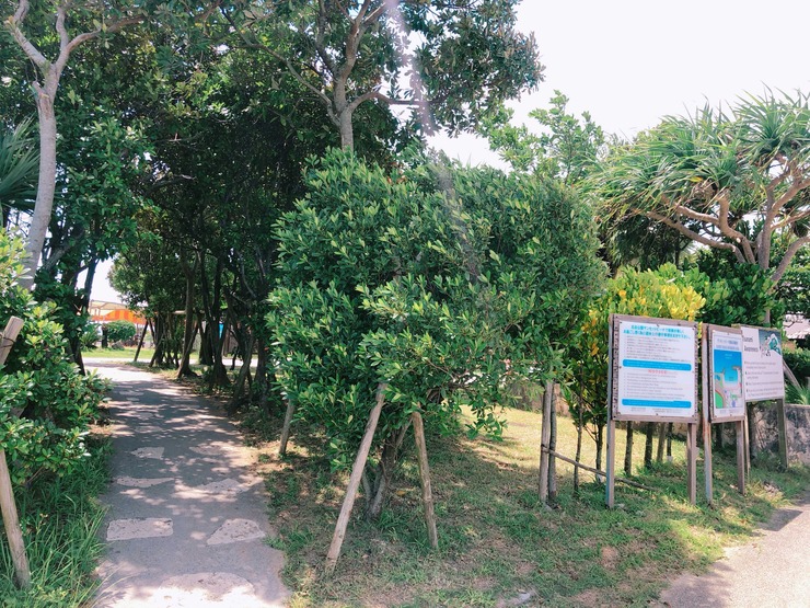 Image from iOS (28)