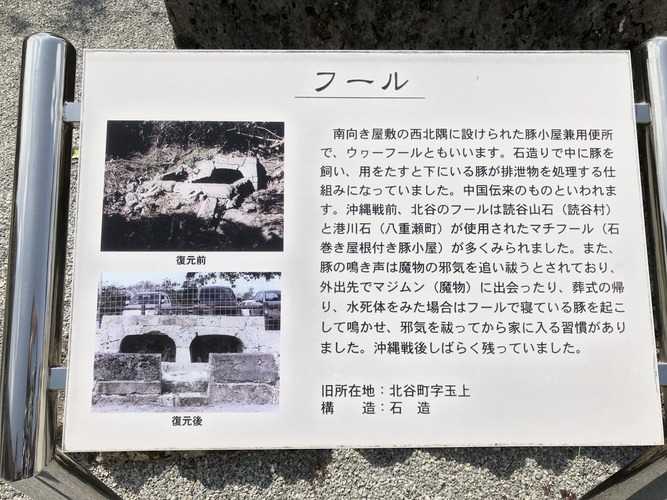 19433965.jpg