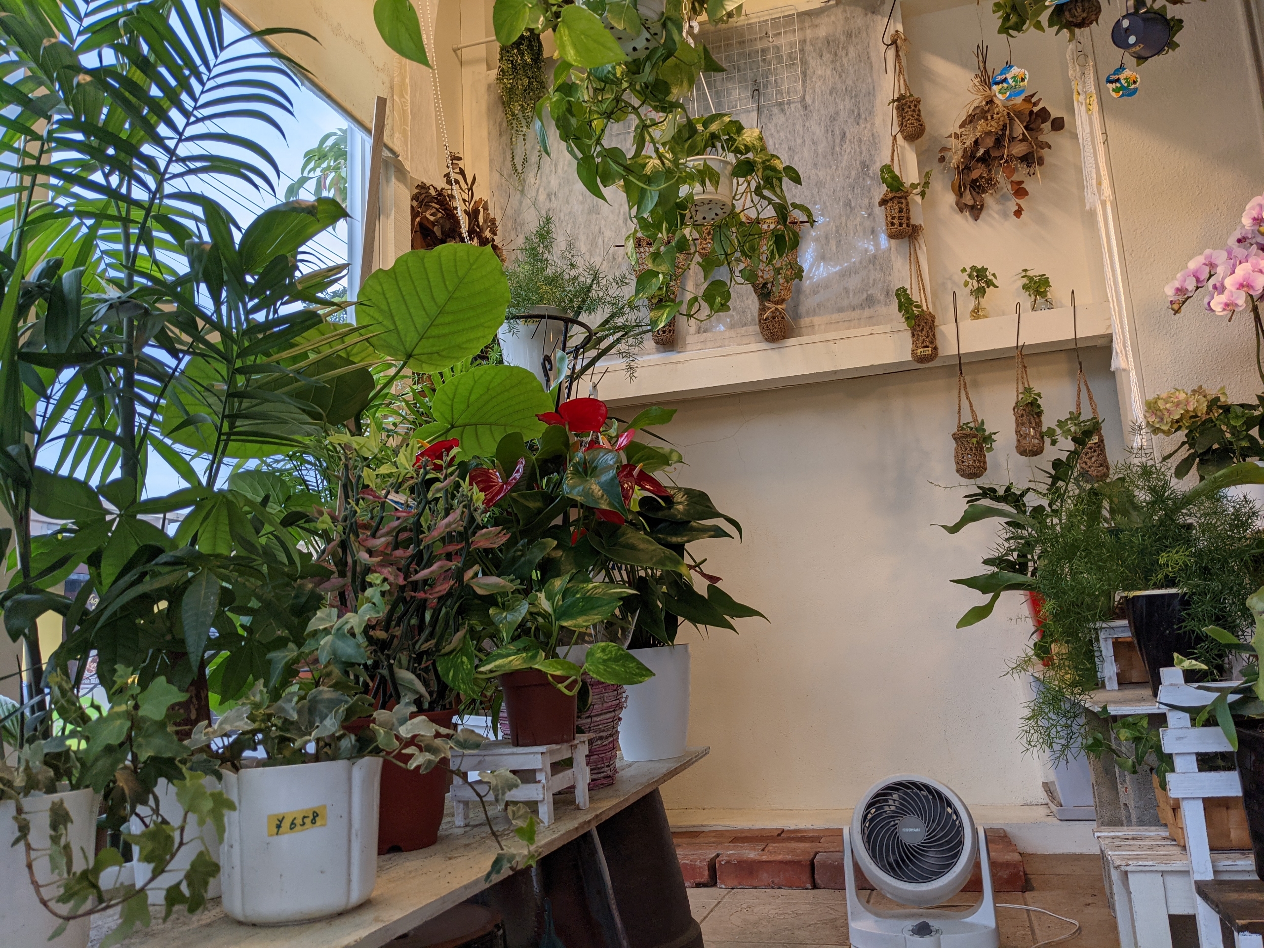 北谷町宮城 海岸沿いの町のお花屋さん 花の店 ポプリ 植物パワーで癒やしを その 美ら浜つーしん 沖縄県北谷町の地域情報サイト