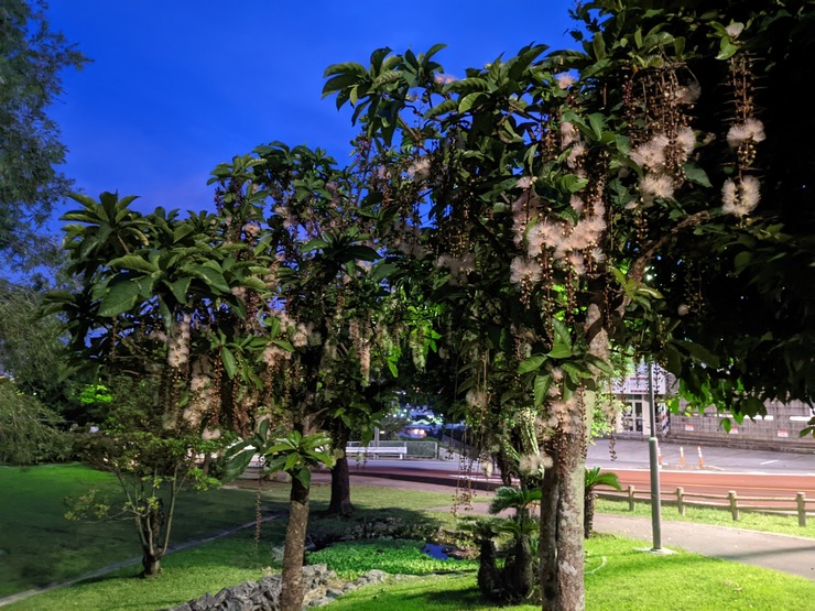 PXL_20220708_105703261