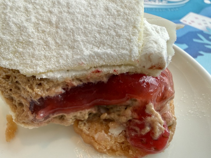 IMG_9419
