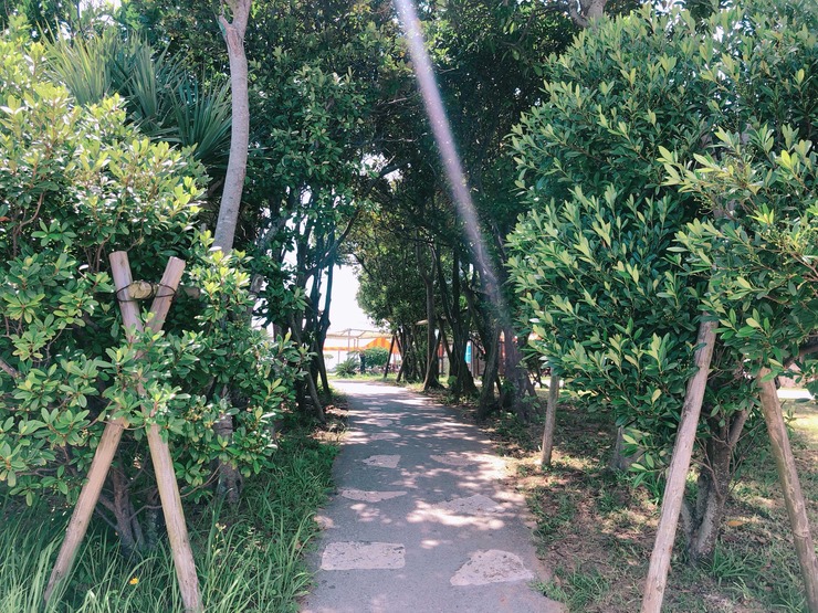 Image from iOS (29)