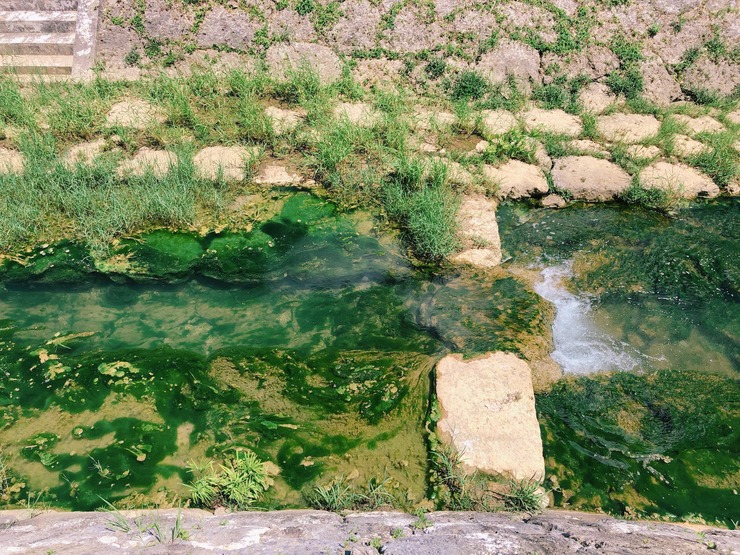 Image from iOS (6)