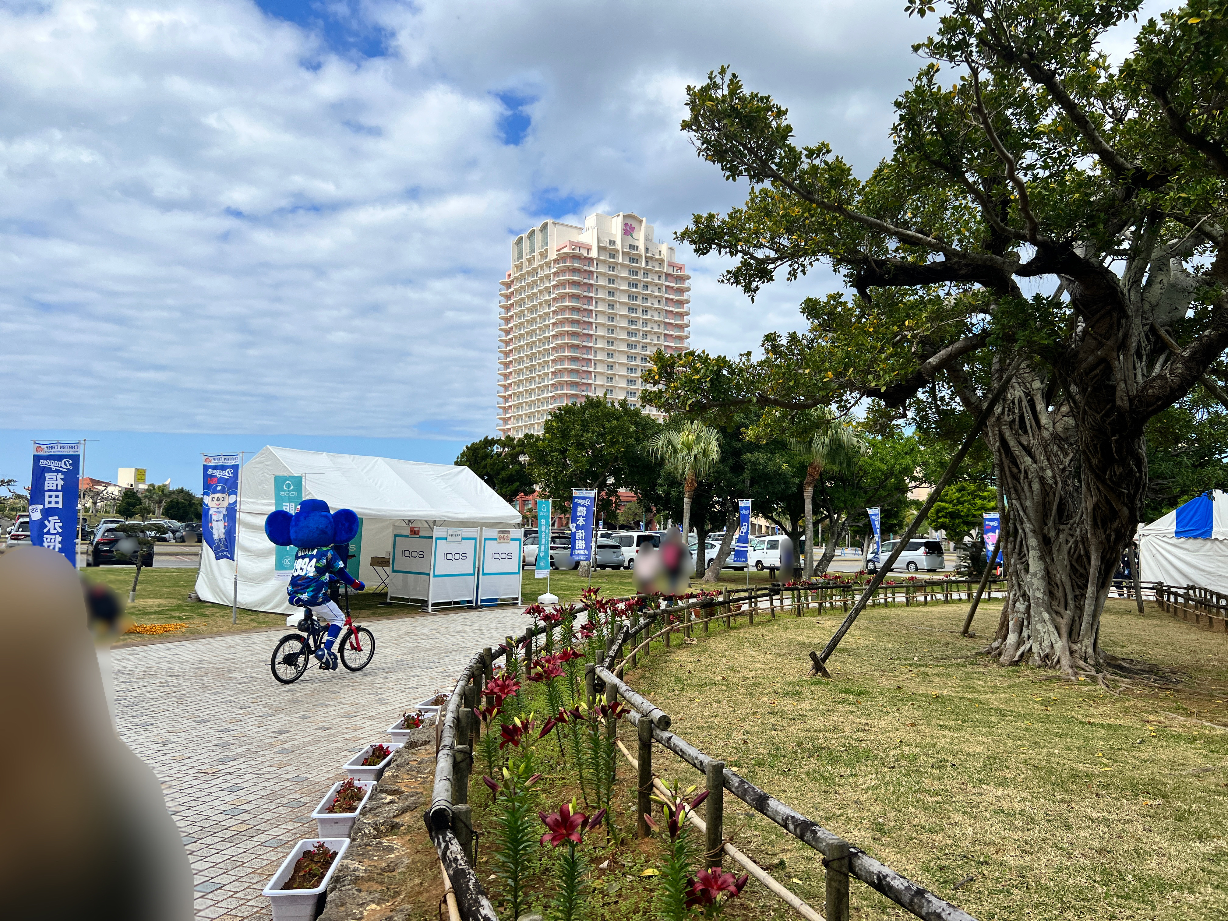 北谷町】中日ドラゴンズ春季キャンプ2023行ってきました! : 美ら浜つ 北谷町】中日ドラゴンズ春季キャンプ2023行ってきました! : 美ら浜つ