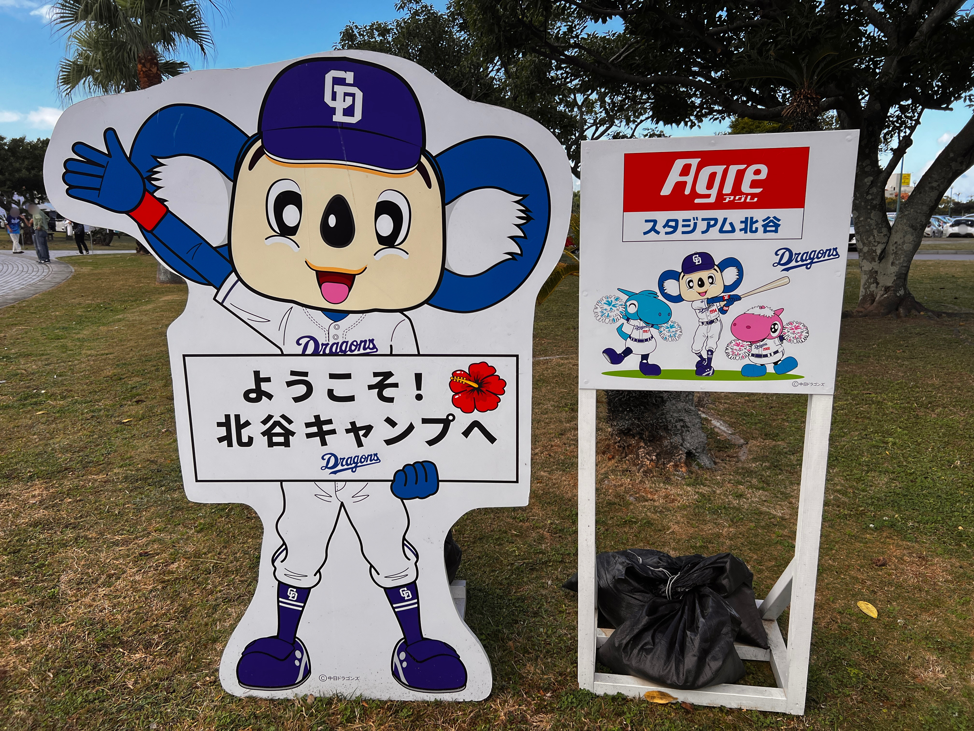 北谷町】Agreスタジアム北谷『中日ドラゴンズ2024秋季キャンプ