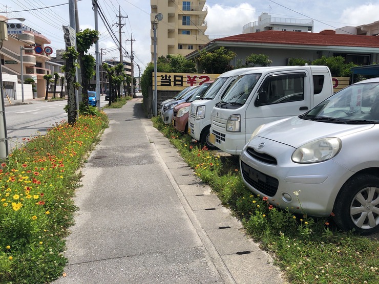 Image from iOS (19)