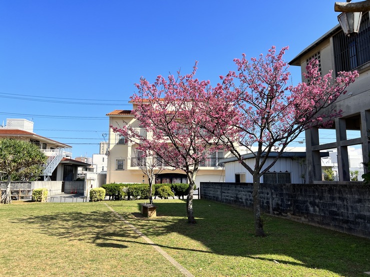 image0 (2)
