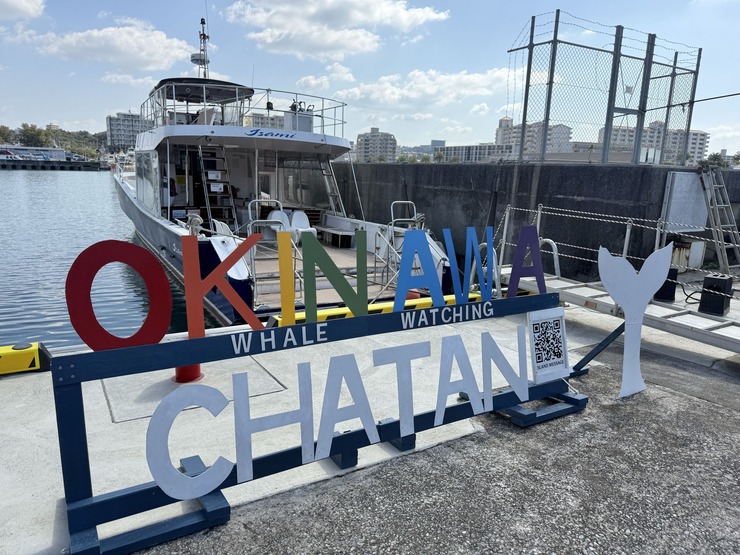 【北谷町】浜川漁港発ホエールウォッチングツアー「アイランドメッセージ」毎年1月～3月期間限定運航！