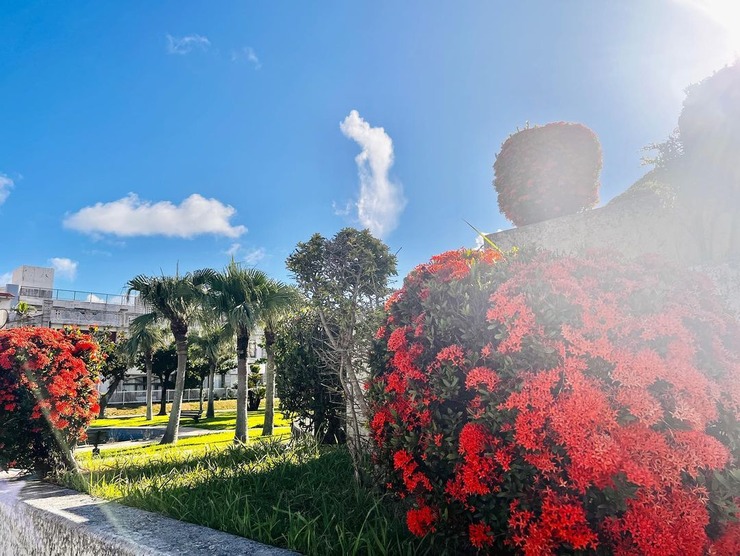 362886335_833671227873966_4925306846889007128_n