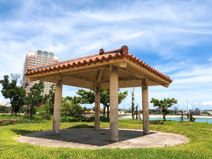 Image from iOS (12)