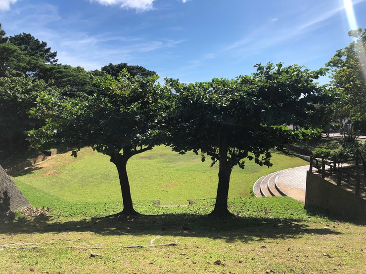 iOS の画像 (46)