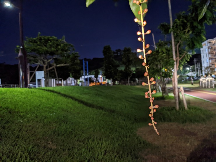 PXL_20220708_111442471