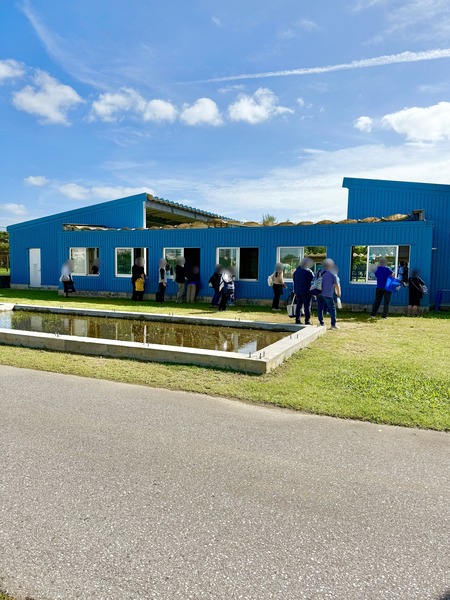 image (6)