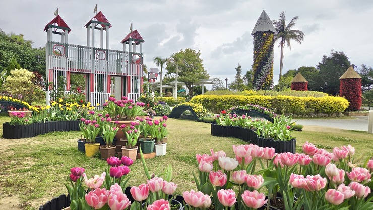 【沖縄市】第15回「沖縄こどもの国 花まつり」に行ってきたよ♪2026年4月6日(月)まで開催中！