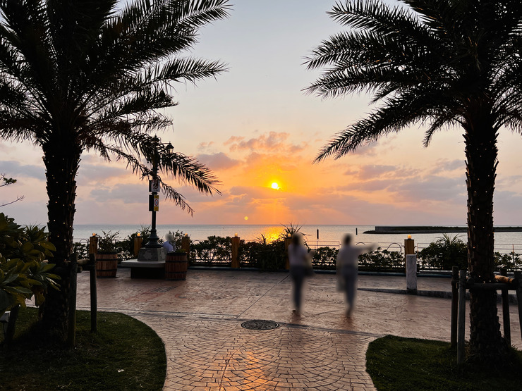 IMG_3284