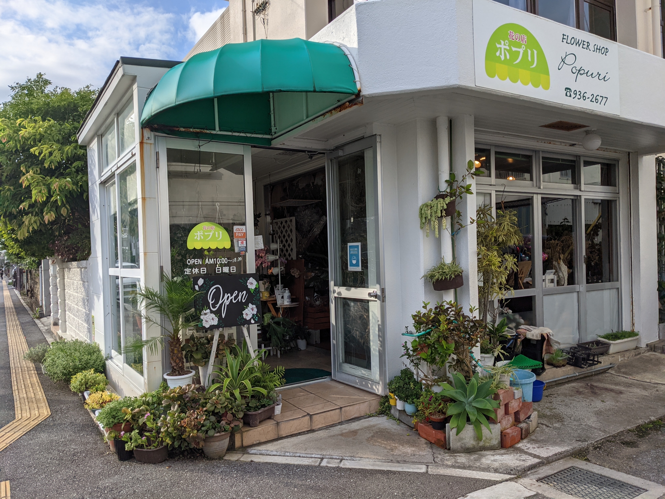 北谷町宮城 海岸沿いの町のお花屋さん 花の店 ポプリ 植物パワーで癒やしを その 美ら浜つーしん 沖縄県北谷町の地域情報サイト