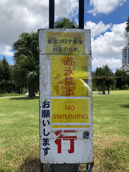 Image from iOS (1)