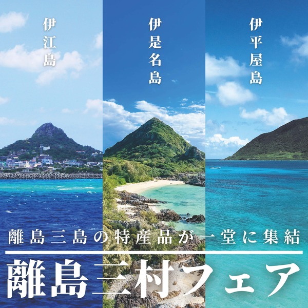 髮「蟲カ荳画搗繝輔ぉ繧「 (Instagram謚慕ィソ逕ィ)_ページ_2