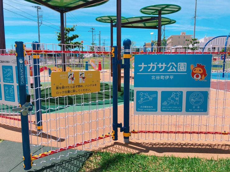 Image from iOS (26)