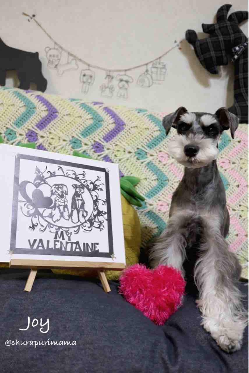 切り絵 思い出の結婚式 とダッフィーちゃんからのお手紙 Mama Tricaria ちょこっと編み物 Churapurimama のジョイ散歩