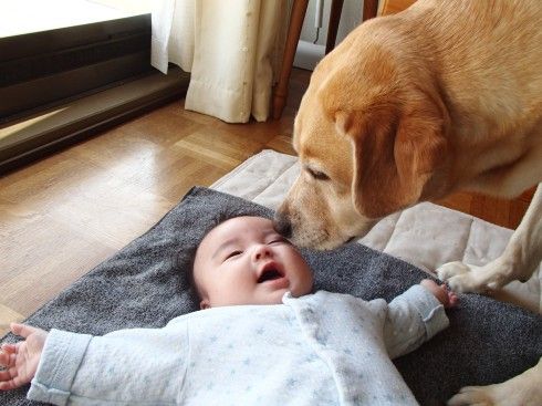 ちゅらとくくる