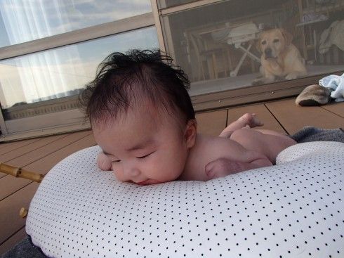ちゅらとくくる
