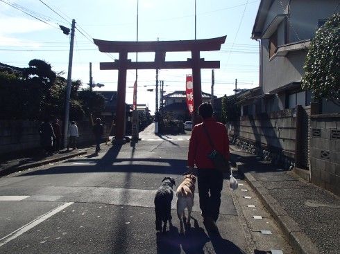 ちゅらとくくる