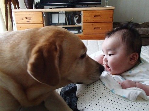 ちゅらとくくる