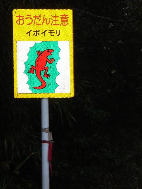 おもしろ看板 標識 美ら海コタン 沖縄北部 やんばる情報